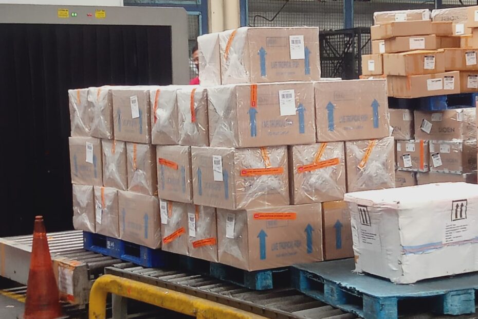 Jasa Kirim Barang ke Greenland DHL Express di Semarang