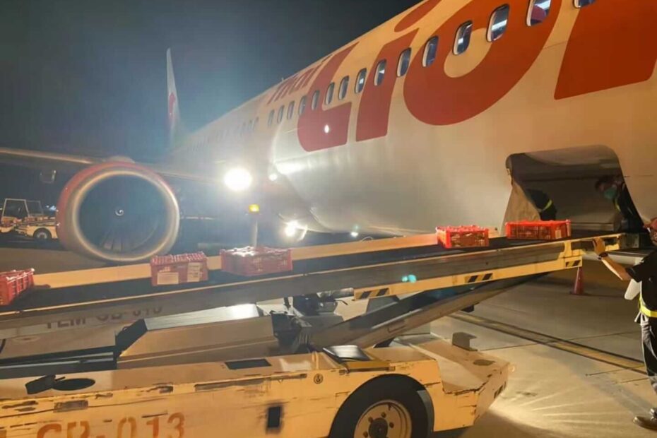 Jasa Kirim Barang ke Mongolia DHL Express Sidoarjo