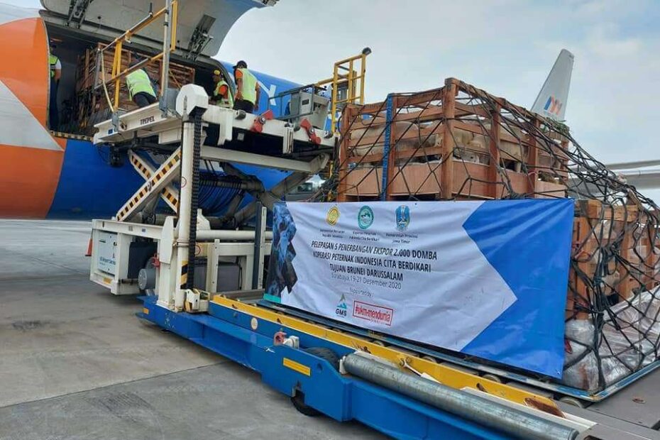 Jasa Kirim Barang ke Tanzania DHL Express Depok