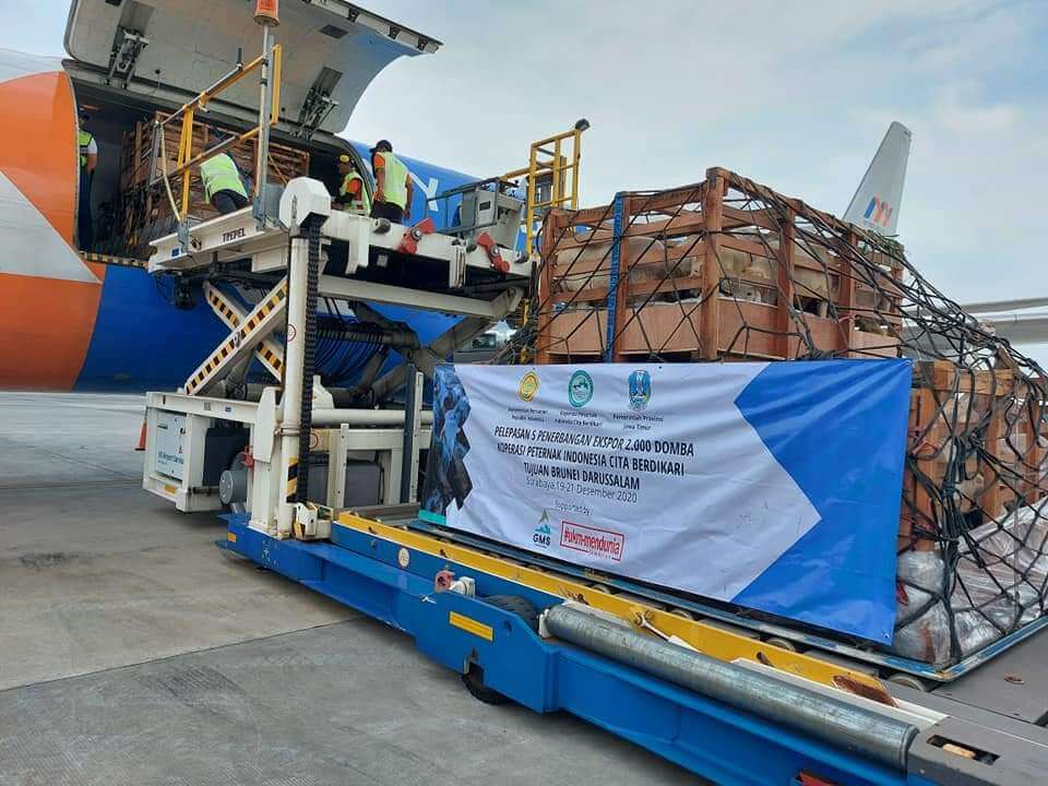 Jasa Kirim Barang ke Tanzania DHL Express Depok