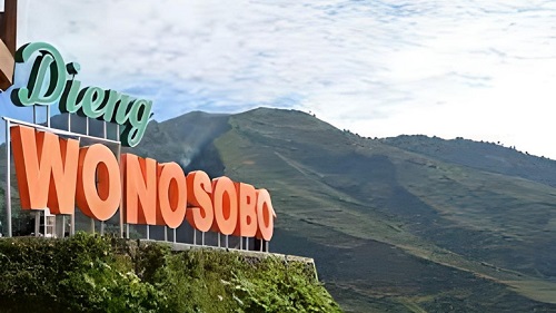 Jasa Ekspor Barang Ke Luar Negeri di Wonosobo Murah